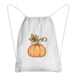 Рюкзаки-мешки