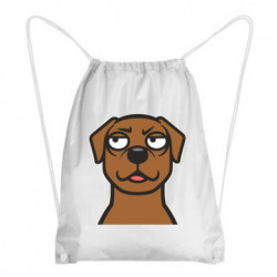 Рюкзаки-мешки