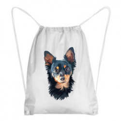 Рюкзаки-мешки