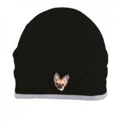 Шапки - FATLINE