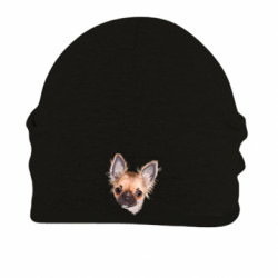 Шапки на флисе - FATLINE