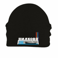Шапки на флісі - FATLINE