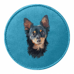 Шевроны круглые - FATLINE