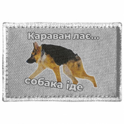 Шевроны прямоугольные - FATLINE