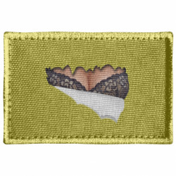 Шеврон прямокутний Жіночі груди в бюстгальтері