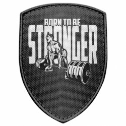 Шевроны щит - FATLINE