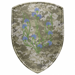 Шевроны щит - FATLINE