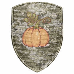 Шевроны щит - FATLINE