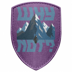 Шеврони щит - FATLINE