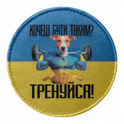Шевроны круглые - FATLINE