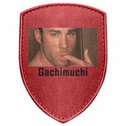 Шевроны щит - FATLINE