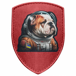 Шеврон щит Бульдог космонавт - FATLINE Шеврон щит Бульдог космонавт