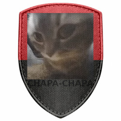 Шевроны щит - FATLINE