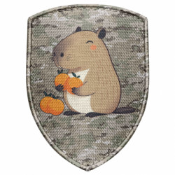 Шевроны щит - FATLINE