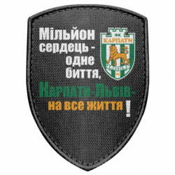 Шевроны щит - FATLINE