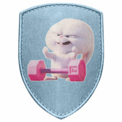 Шевроны щит - FATLINE