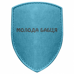 Шевроны щит - FATLINE