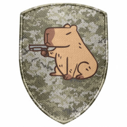 Шевроны щит - FATLINE