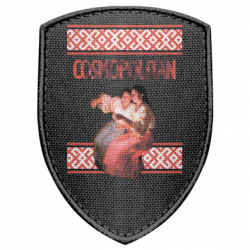 Шевроны щит - FATLINE