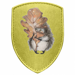 Шевроны щит - FATLINE