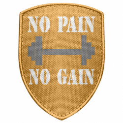 Шеврон щит Pain Gain