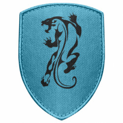 Шевроны щит - FATLINE