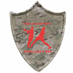 Шевроны заостренный щит