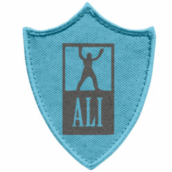 Шевроны заостренный щит