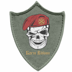 Шевроны заостренный щит