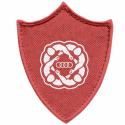 Шевроны заостренный щит