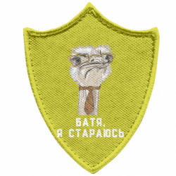 Шеврони загострений щит