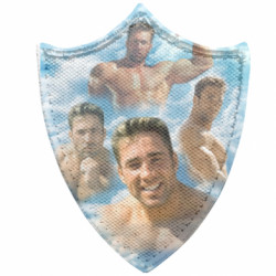 Шеврони загострений щит