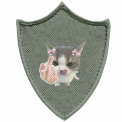 Шевроны заостренный щит