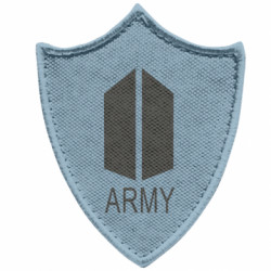 Шевроны заостренный щит