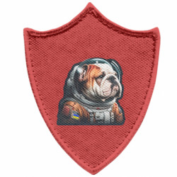 Шевроны заостренный щит