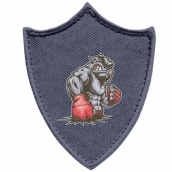 Шеврони загострений щит