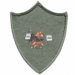 Шеврони загострений щит