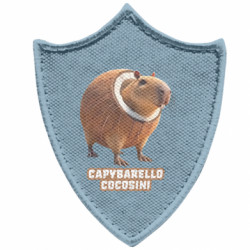 Шевроны заостренный щит