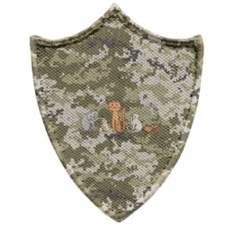 Шевроны заостренный щит