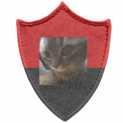 Шевроны заостренный щит