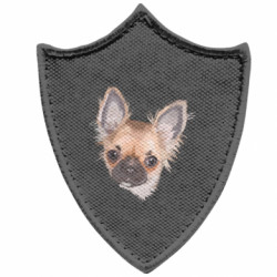 Шевроны заостренный щит