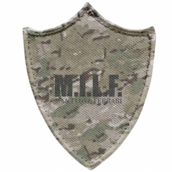 Шевроны заостренный щит