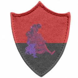 Шеврони загострений щит