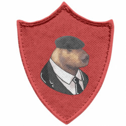 Шеврони загострений щит