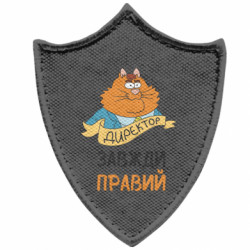 Шевроны заостренный щит