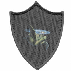 Шевроны заостренный щит