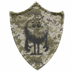 Шевроны заостренный щит