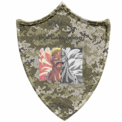 Шевроны заостренный щит