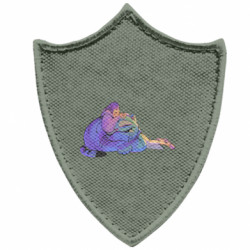 Шеврони загострений щит