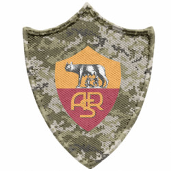 Шеврони загострений щит